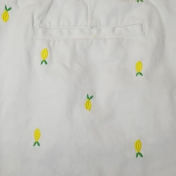 🍋 Merona Embroidered Lemon  Summer Fruits Shorts - Picture 5 of 6